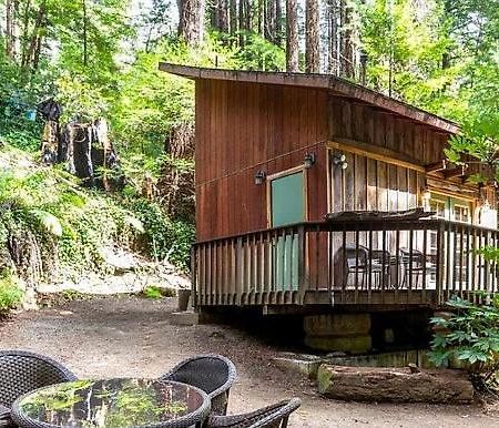 Lofted Studio Cabin In The Redwoods! Guest House Notleys Landing Luaran gambar