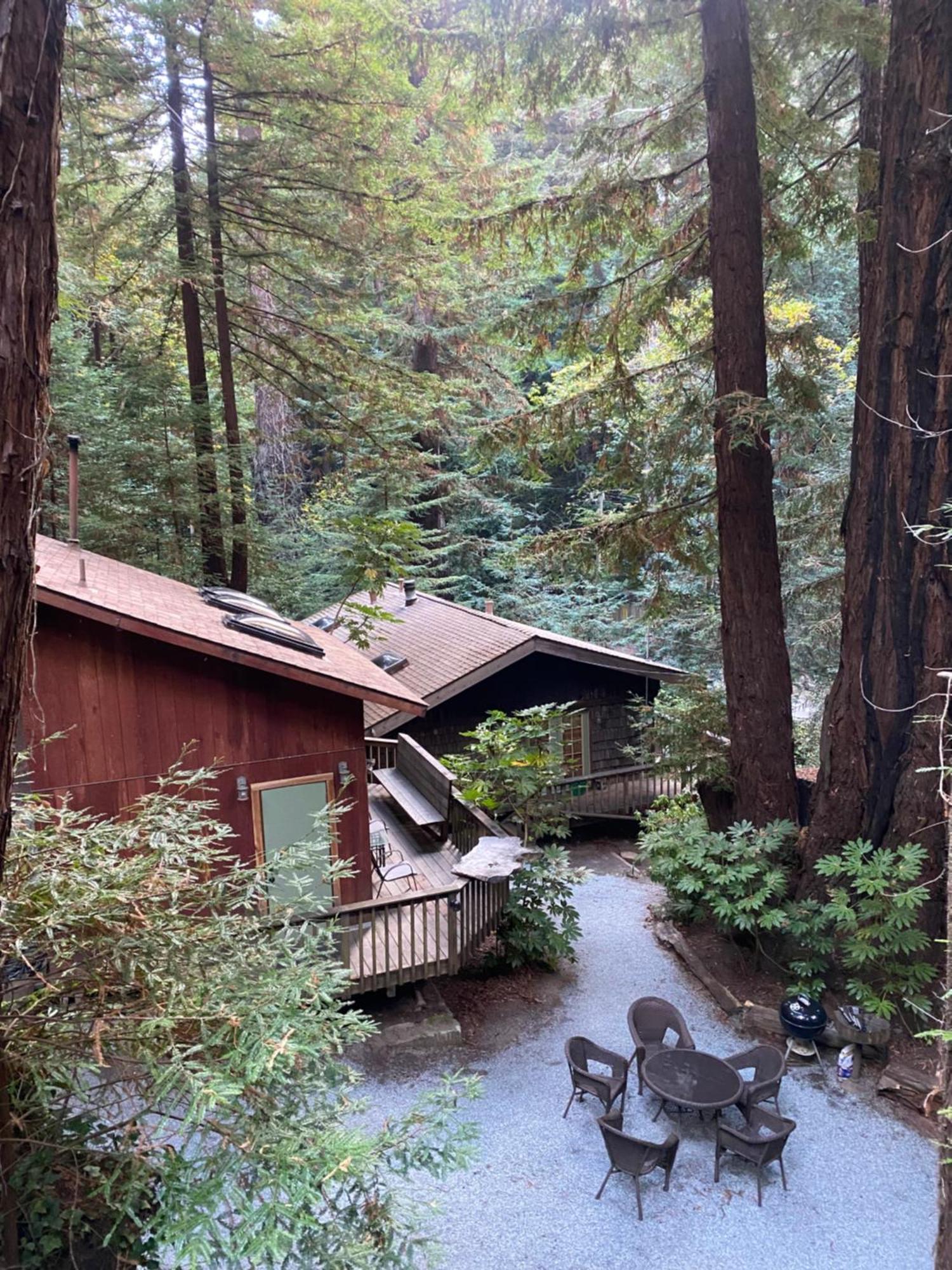 Lofted Studio Cabin In The Redwoods! Guest House Notleys Landing Luaran gambar