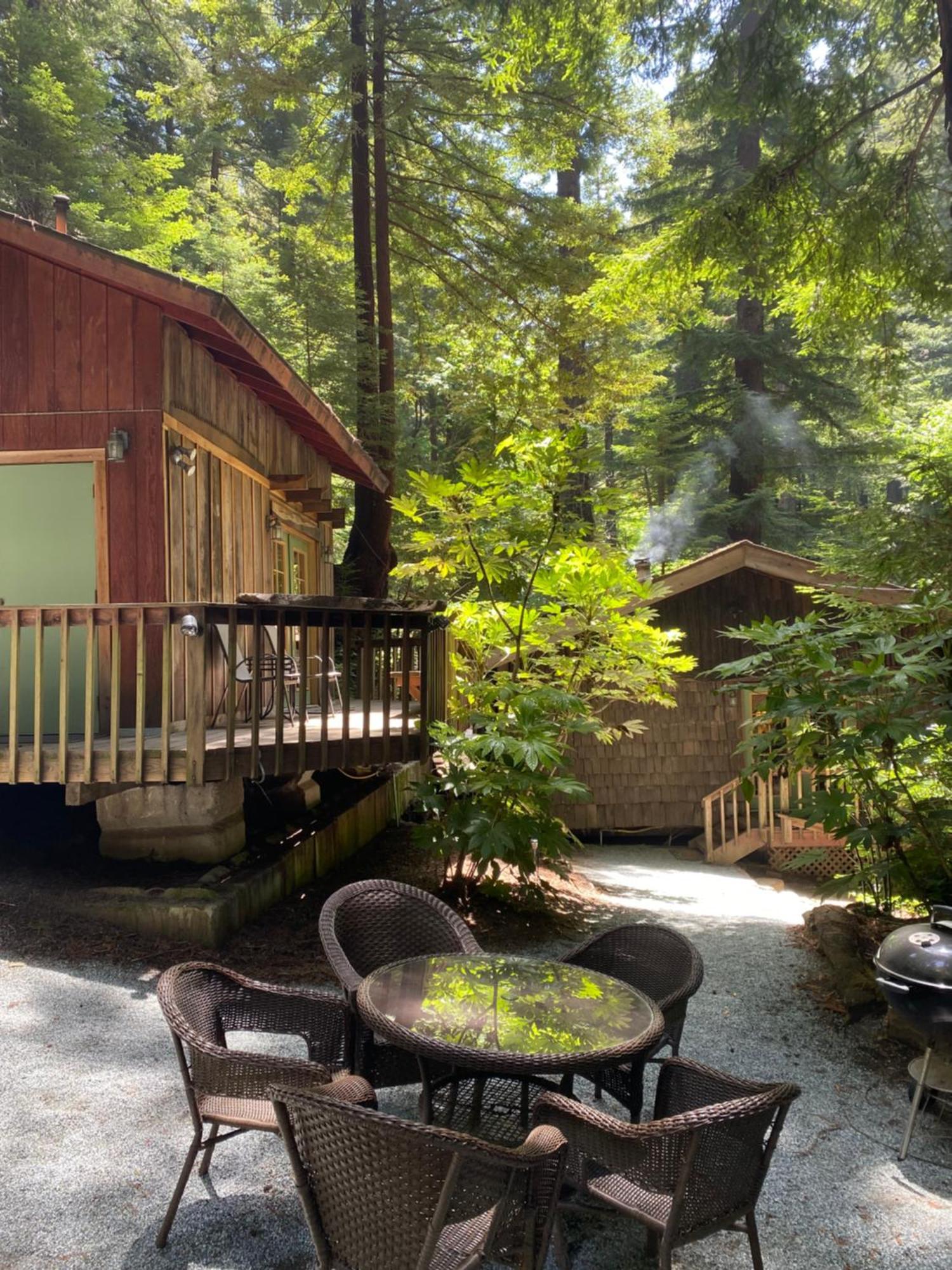 Lofted Studio Cabin In The Redwoods! Guest House Notleys Landing Luaran gambar