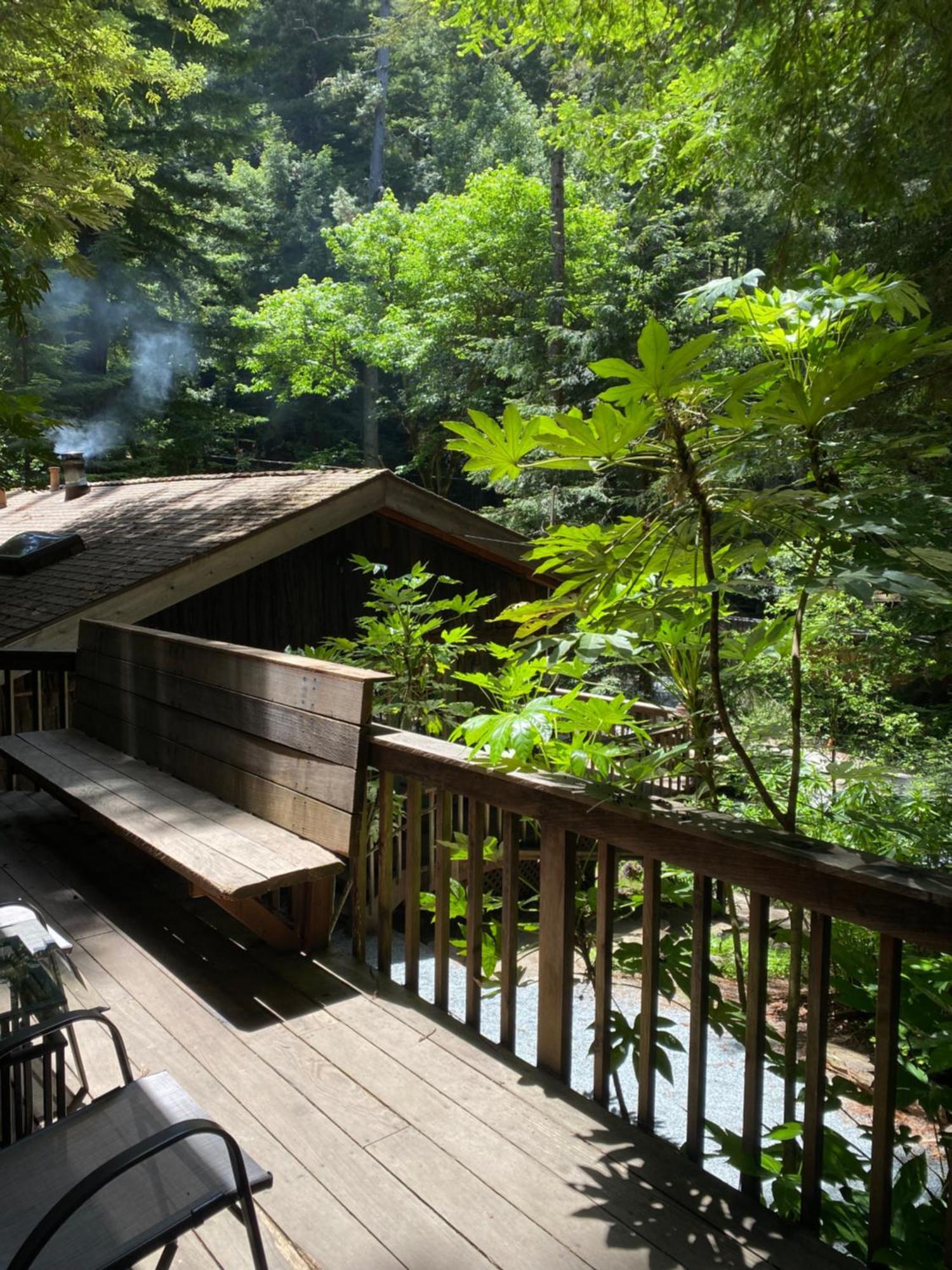 Lofted Studio Cabin In The Redwoods! Guest House Notleys Landing Luaran gambar